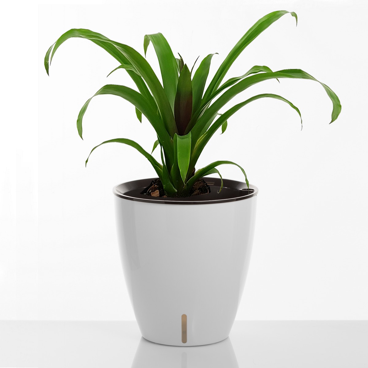 4167_4_Vaso_Autoinnaffiante_TULIP_per_Esterno_e_Interno_Viola_Round_Bianco_Lucido_d35xh36_cm.jpg