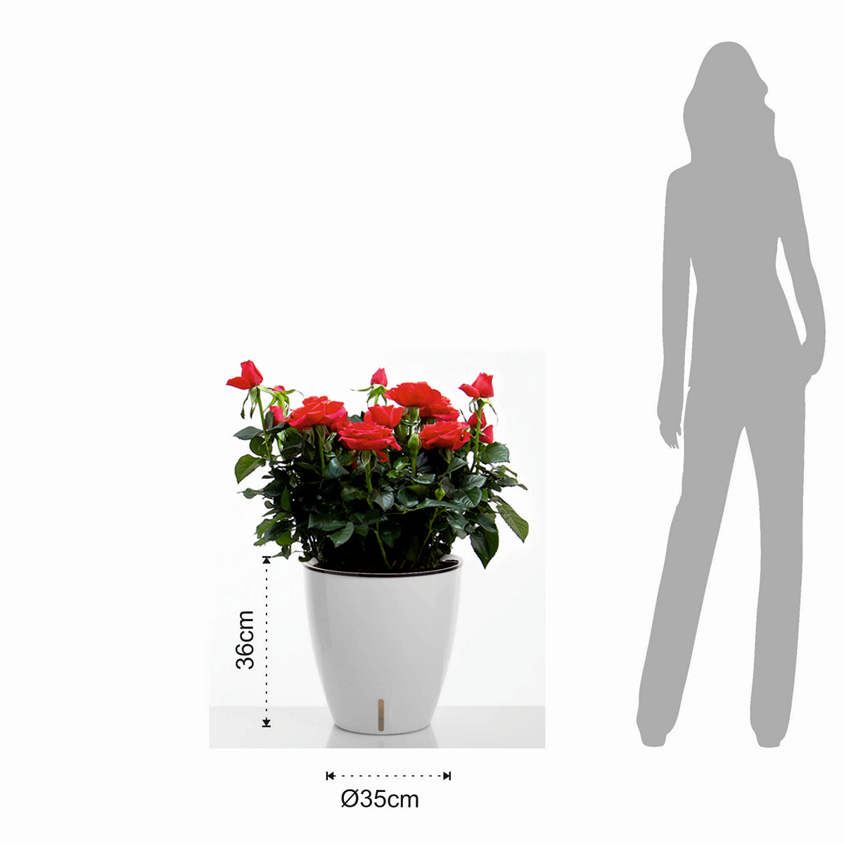 4167_7_Vaso_Autoinnaffiante_TULIP_per_Esterno_e_Interno_Viola_Round_Bianco_Lucido_d35xh36_cm.jpg