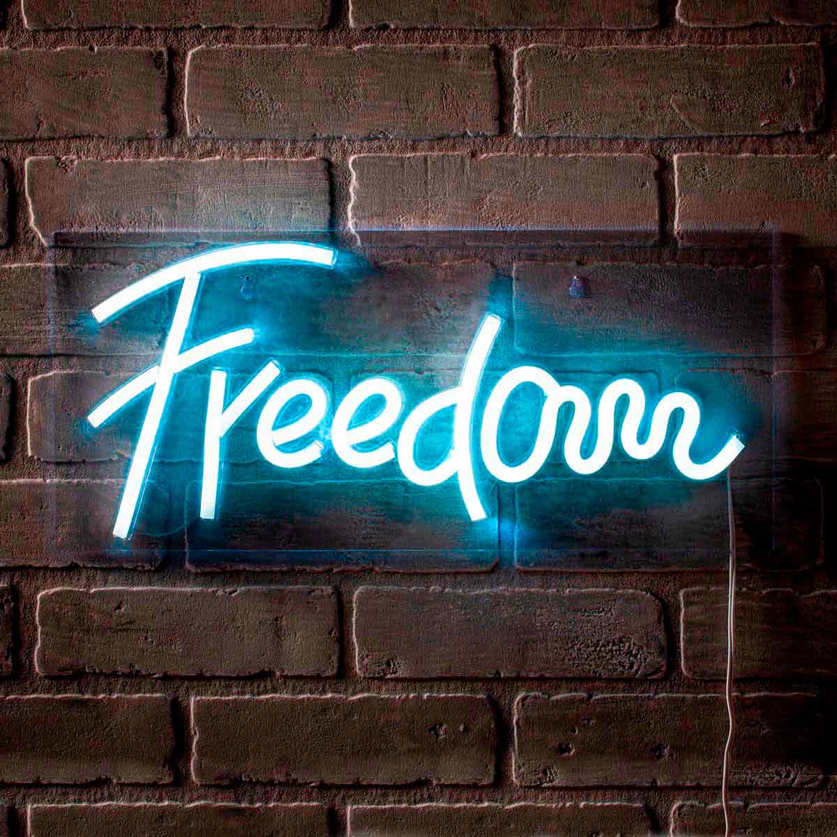 Enseigne lumineuse Freedom. lumière froide. alimentation USB. 45 x 20 cm